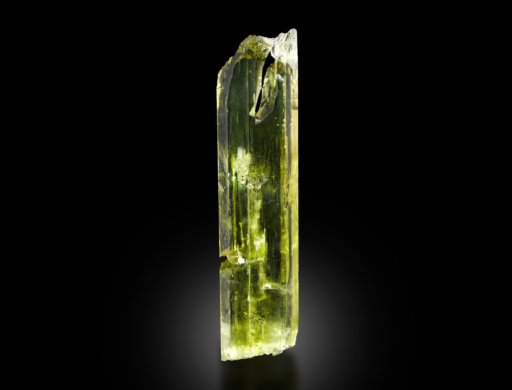 锂辉石 水晶 - 高度: 10 cm - 宽度: 2.4 cm- 41 g - (1) #1.0