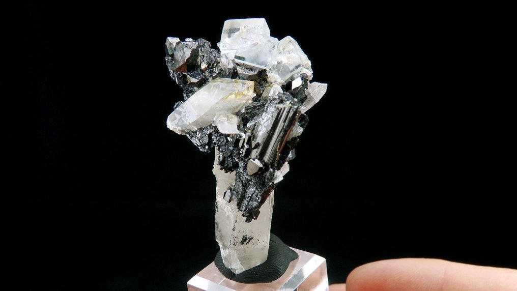 Fluorite on Ferberite and Quartz floater - Yaogangxian, Hunan, China - Height: 5.8 cm - Width: 4.0 cm- 43 g #4.3