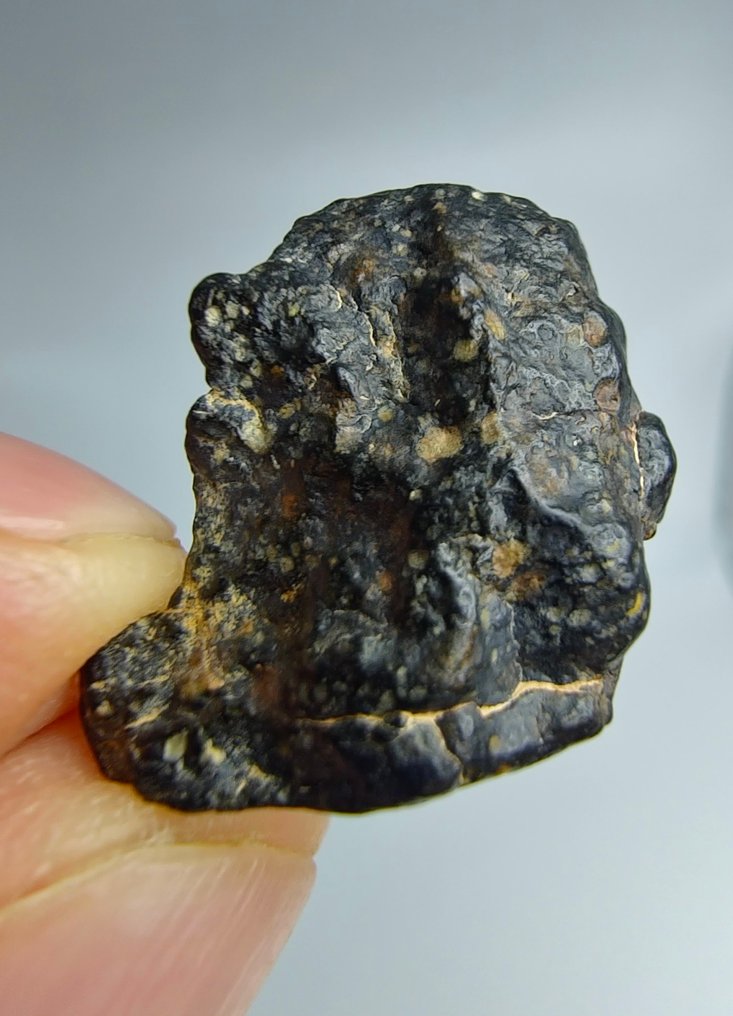 Meteorite. CVoxA3. Kulstofholdig (NWA 17324). - 5.34 g - (1) #1.0