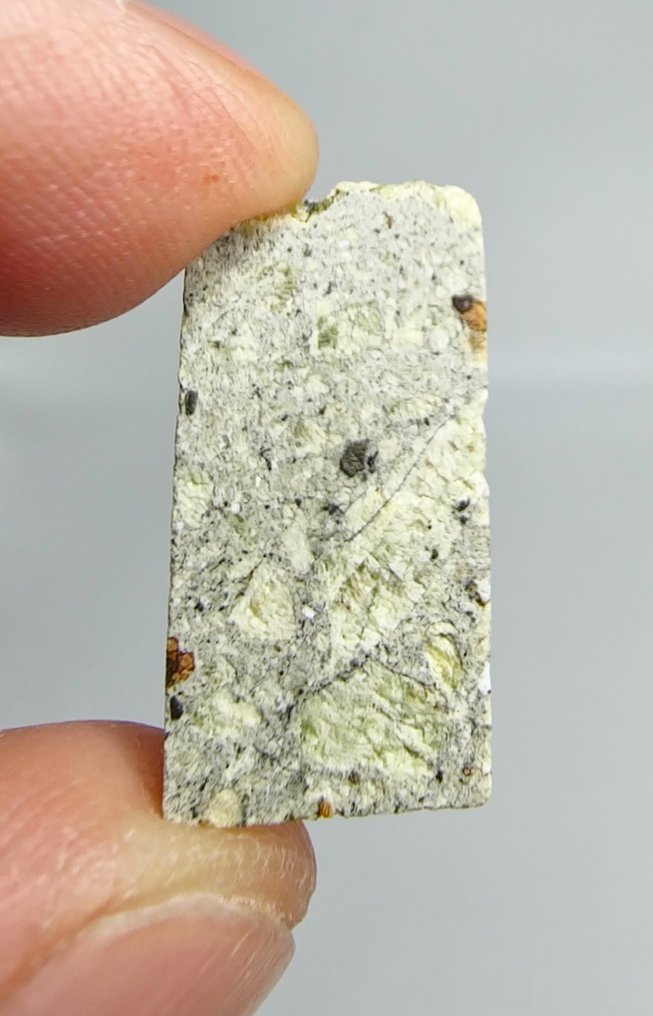 Dunite. Ain Ben Tili 004. Achondrite non classificata - 2.04 g - (1) #1.0