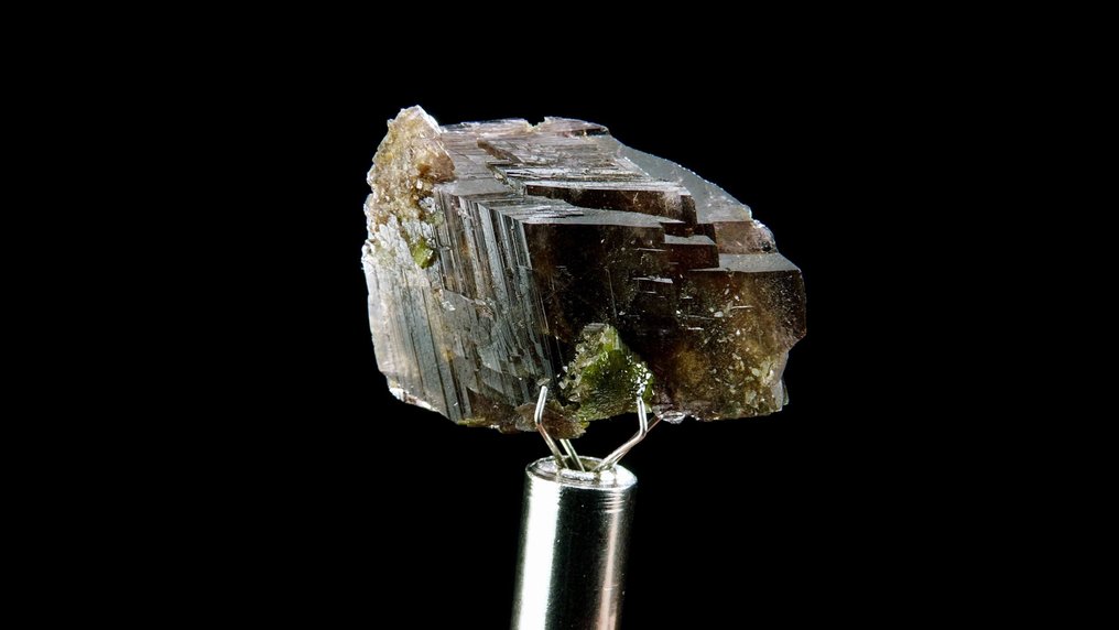 Axinite and Epidote (floater) -  Le Cornillon, Belledonne, Oisans, Alps, France - Height: 2.9 cm - Width: 2.1 cm- 6 g #1.0