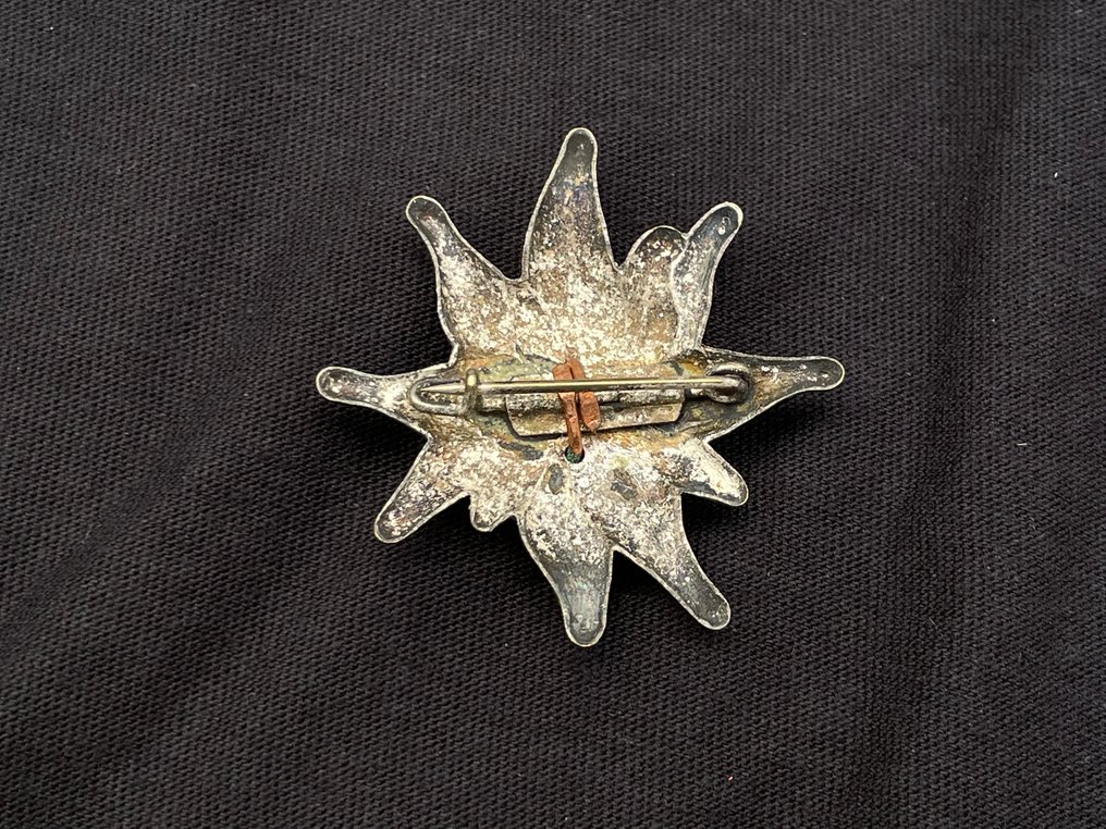 Németország - Alpenverein tagsági jelvény - Katonai érem #2.1