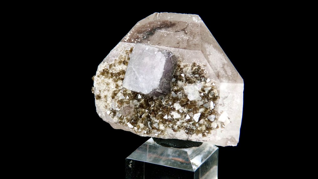 萤石与方钨矿伴生于石英中 - 耀岗县，湖南，中国 - 高度: 4 cm - 宽度: 3.4 cm- 43 g #4.3