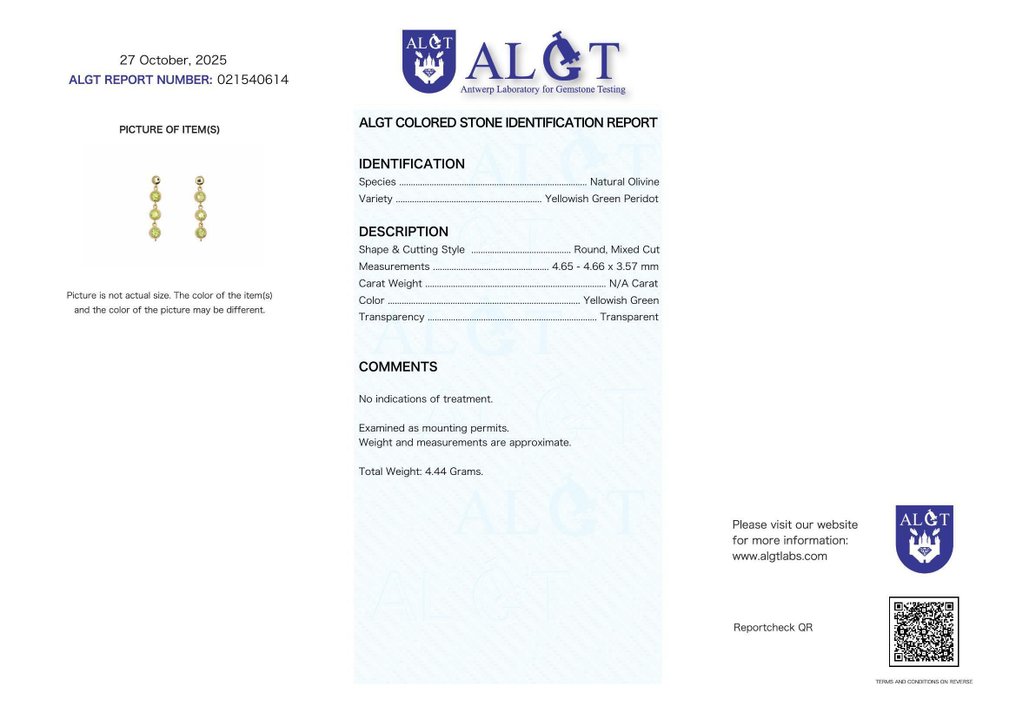 沒有保留價 - 耳環 銀 - Peridot - 认证 #2.1