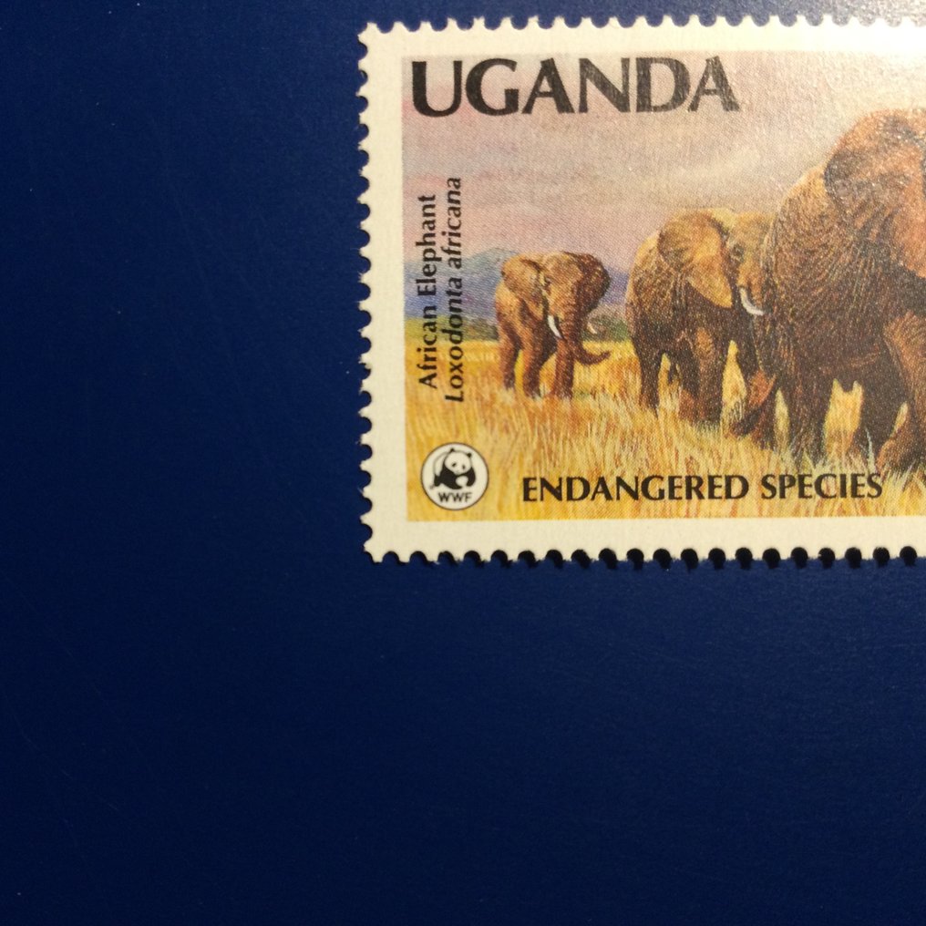 Ουγκάντα - WWF Uganda #1.0