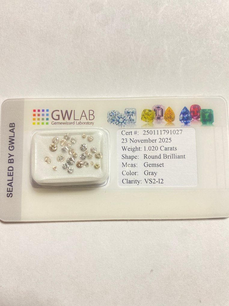 Ohne mindestpreis - 27 pcs Diamant (Natürlich) - 1.02 ct - Rund - VS2, I2 - Gemewizard Gemological Laboratory (GWLab) #1.0