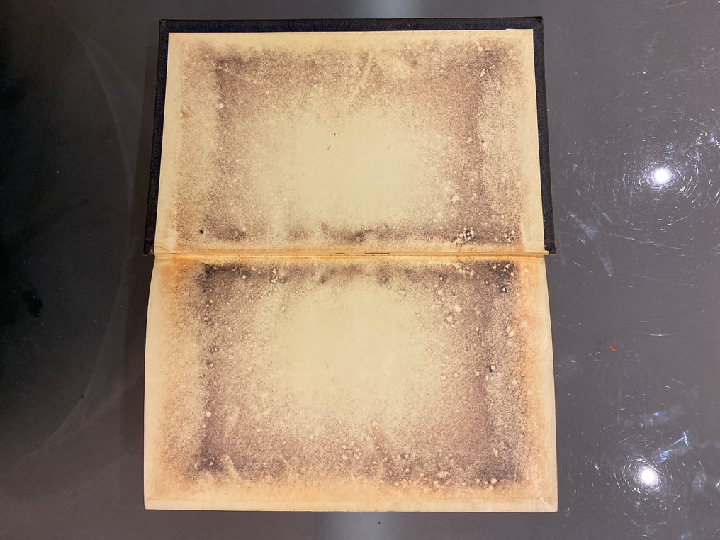 Thomas Roscoe - L'Espagne. Royaume de Grenade - 1835 #2.1