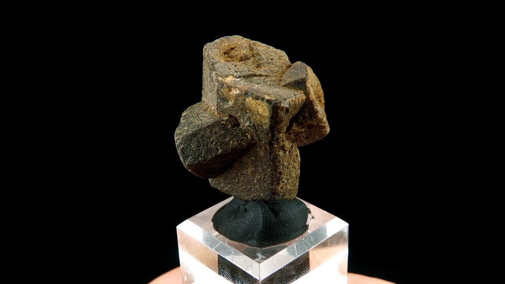Staurolite (St André twin) -  Coray, Brittany, France - Height: 3.0 cm - Width: 2.8 cm- 28 g #4.3