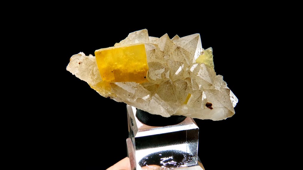 Fluorite on Quartz with Goethite inclusions - Aouli, Midelt, Middle Atlas, Morocco - Height: 6.4 cm - Width: 4 cm- 52 g #4.3