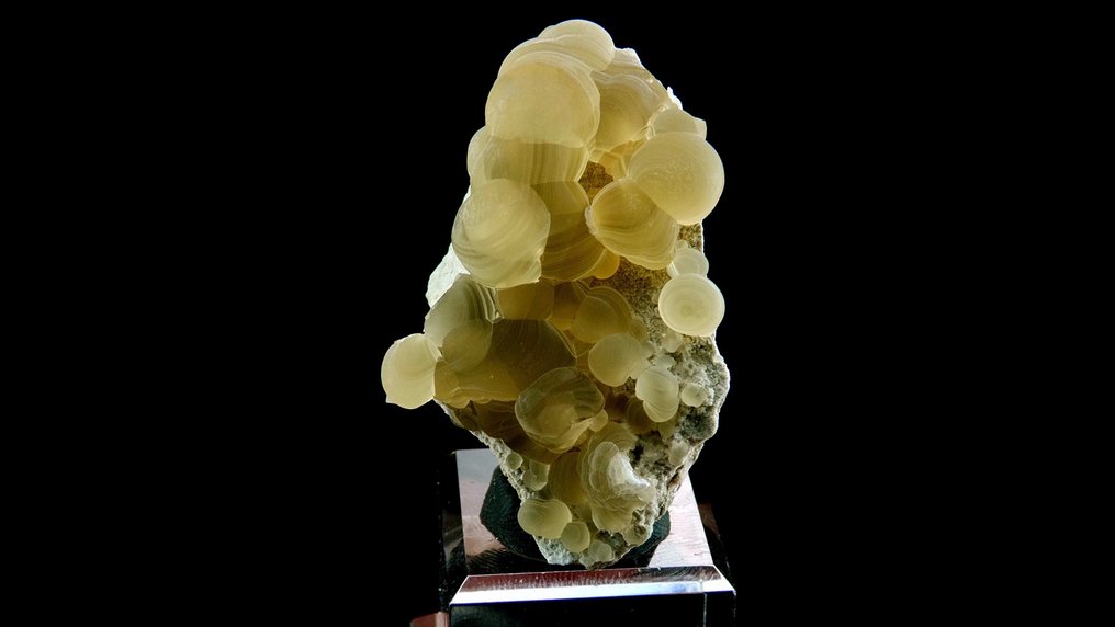 Chalcedony 'drop' -  Aulon, Pyrenees piedmont, France - Height: 4.5 cm - Width: 3.0 cm- 25 g #1.0