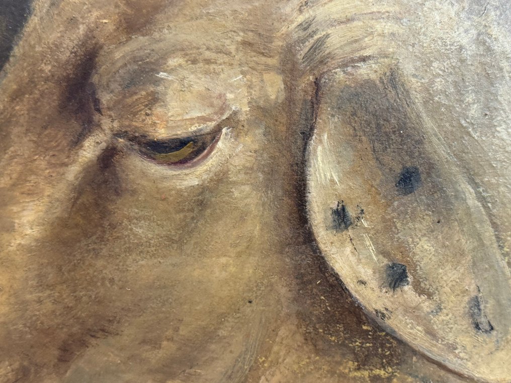 Stefano Bruzzi (1835-1911), 歸屬於 - Testa di pecora #3.2