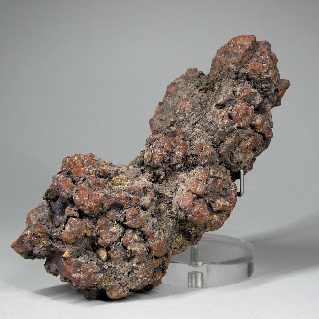 fossiliseret reptilsk afføring - Forstenet dyr - Koprolithe - 11.5 cm  (Ingen mindstepris) #1.0