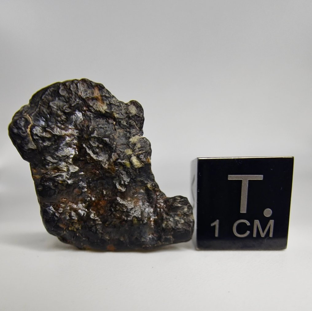 Meteorite. CVoxA3. Kulstofholdig (NWA 17324). - 5.34 g - (1) #4.3