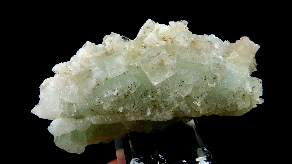 Fluorite pe Quartz - Mina Pratclaux, Langeac, Auvergne, Franța - Înălțime: 9.5 cm - Lățime: 4.8 cm- 235 g #4.3