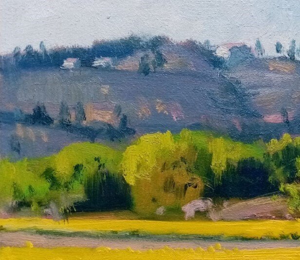 Walter Marchese (1958) - Fioritura di colza #4.3