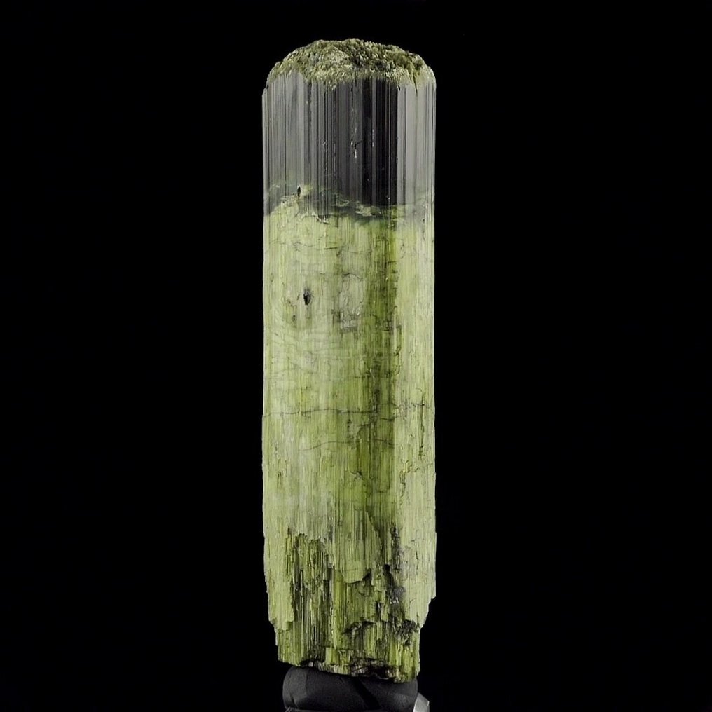 Green Tourmaline (fibrous and doubly-terminated) -  Minas Gerais, Brazil - Height: 10.5 cm - Width: 3.0 cm- 170 g #1.0