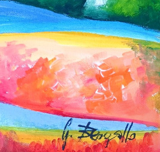 Giorgio Bergallo - CESPUGLI #1.0