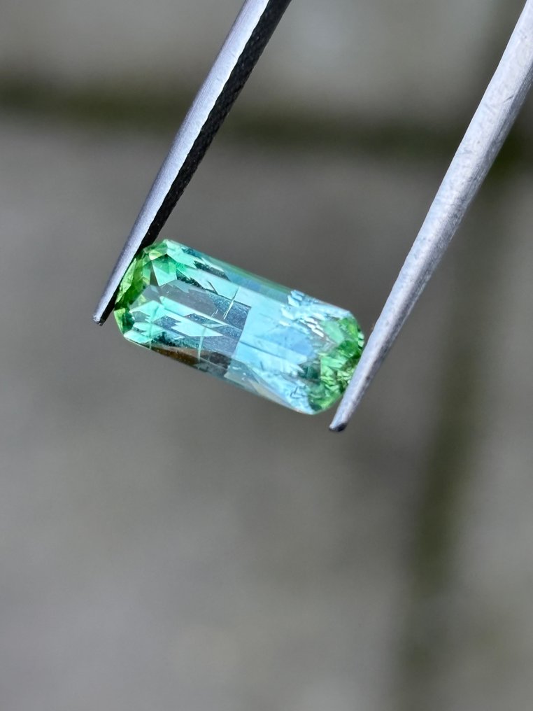 没有保留价 - 1 pcs 绿色, 蓝色, 双色 电气石 - 2.44 ct - 安特卫普宝石检测实验室(ALGT) #1.0