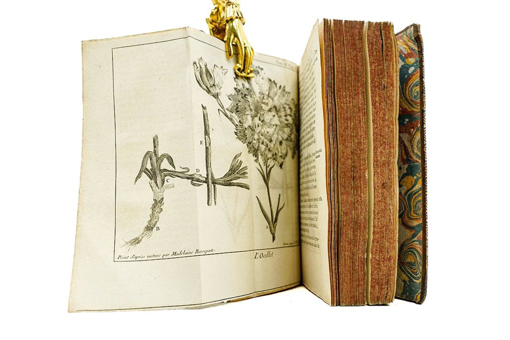 Abbé Pluche - Le Spectacle de la nature - Seconde partie concernant ce qui regarde les dehors & l'intérieur de la - 1748 #4.3