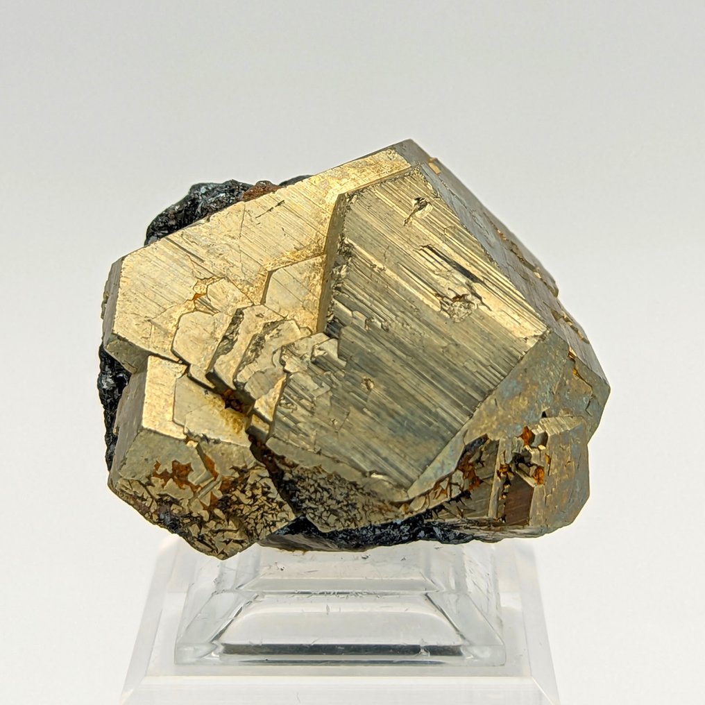Golden pyrite with hematite, large crystal, Italy Crystal - Height: 47 mm - Width: 41 mm- 143 g #1.0