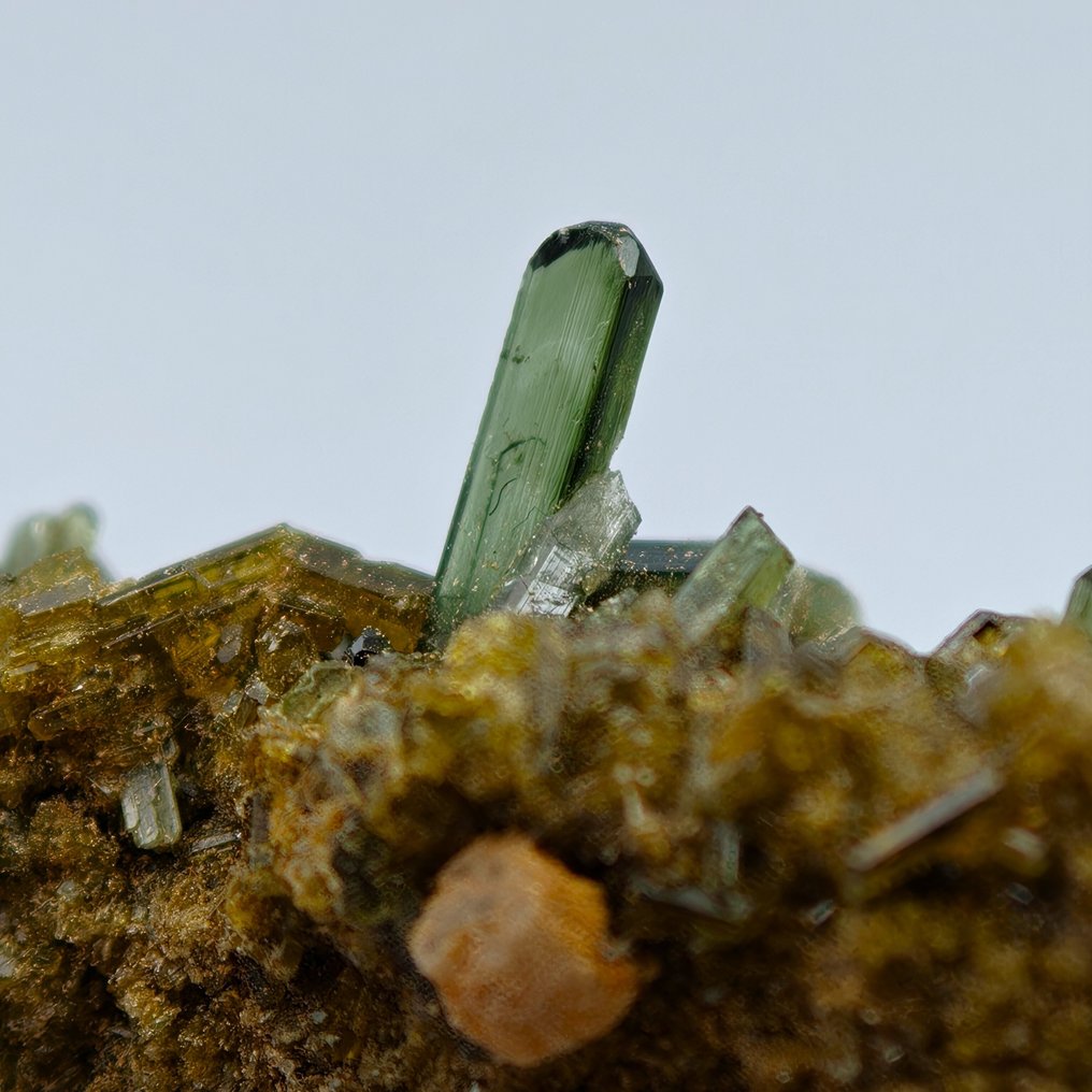 Fantastic EPIDOTE with PREHNITE, ALPINE, Italy Crystals on matrix - Height: 44 mm - Width: 28 mm- 17 g #2.1