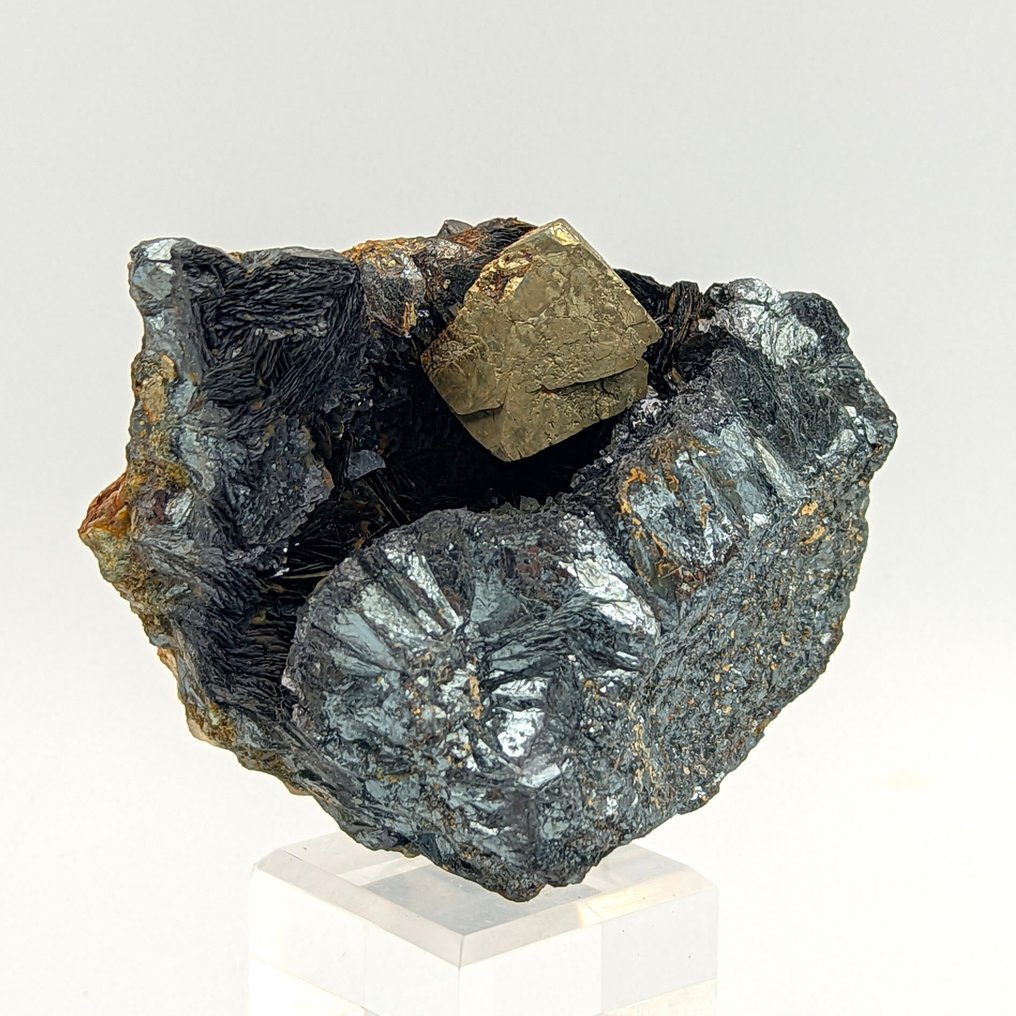 Pirite octaédrica dourada em geode de emathite, Brosso. Geodes - Altura: 99 mm - Largura: 75 mm- 578 g #3.2
