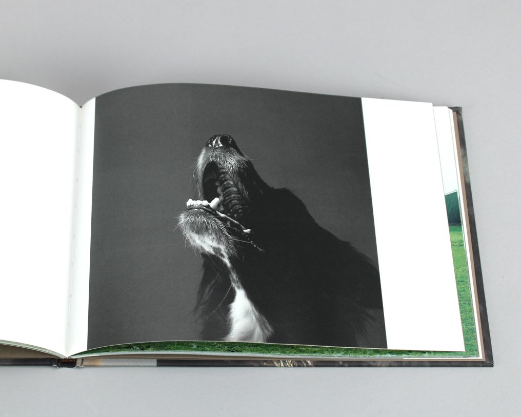 Jan van IJken, Koos Breukel, Hans van der Meer, James Mollison, Ivo de Wijs, Rudy Kousbroek - Dierenleven, James & Other Apes, Dierbaar... - 2000-2005 #4.3