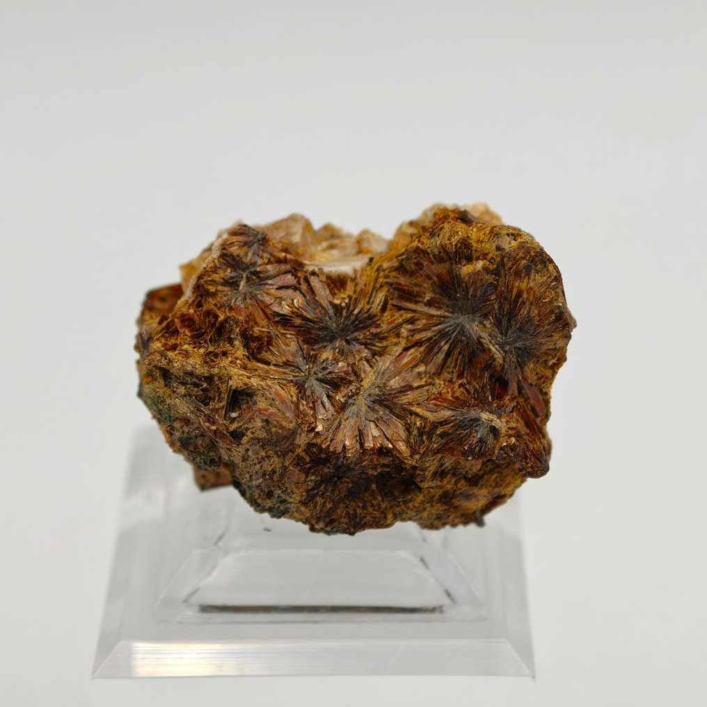 Ritka NIOBOPHYLLIT, aranyszínű és ragyogó, Malawi. Kristálymátrix - Magasság: 39 mm - Szélesség: 29 mm- 26 g #4.3