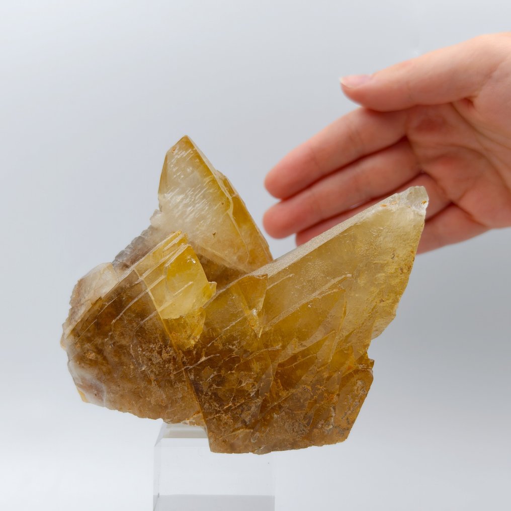Honey Calcite, Large Crystals, Morocco Crystals on matrix - Height: 107 mm - Width: 97 mm- 943 g #1.0