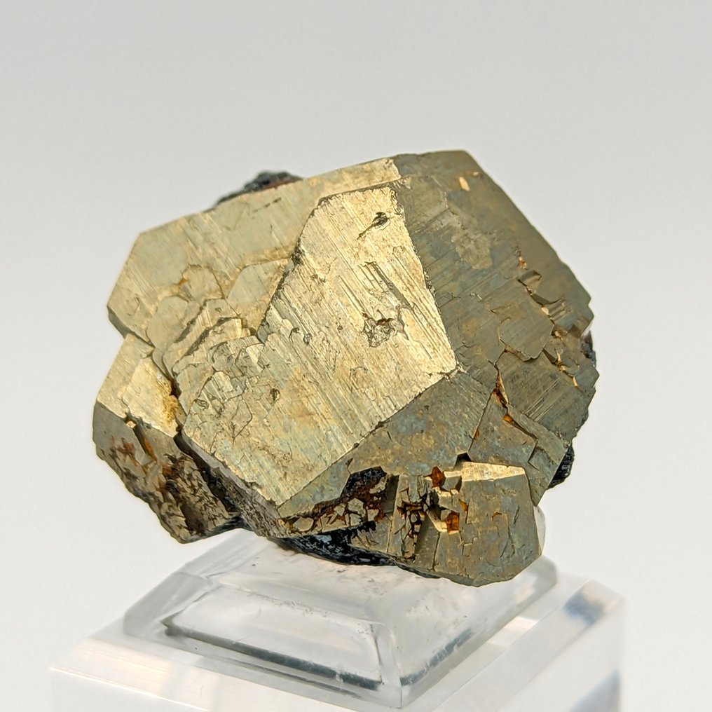 Golden pyrite with hematite, large crystal, Italy Crystal - Height: 47 mm - Width: 41 mm- 143 g #1.0