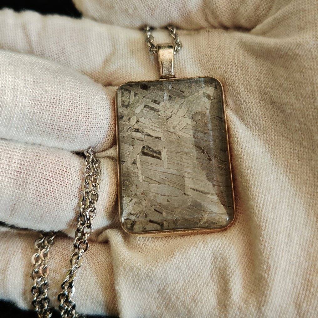 Stålvedhæng og meteoritt med kæde i rustfrit stål. Jernmeteorit - Højde: 43 mm - Bredde: 35 mm - 14.3 g - (1) #4.3