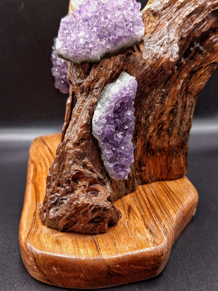PEZZO UNICO "ALI DI CRISTALLO" - 手工雕刻胡桃木雕塑,配巴西紫水晶,高度 - 高度: 240 mm - 闊度: 130 mm- 1038 g - (1) #1.0