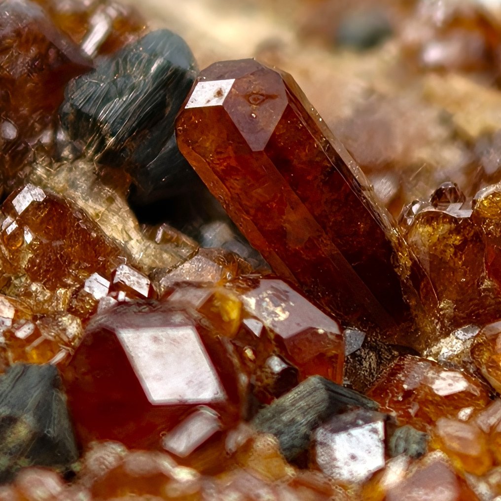 Red Hessonite, rare crystallization, Italy. Crystals on matrix - Height: 125 mm - Width: 60 mm- 410 g #4.3