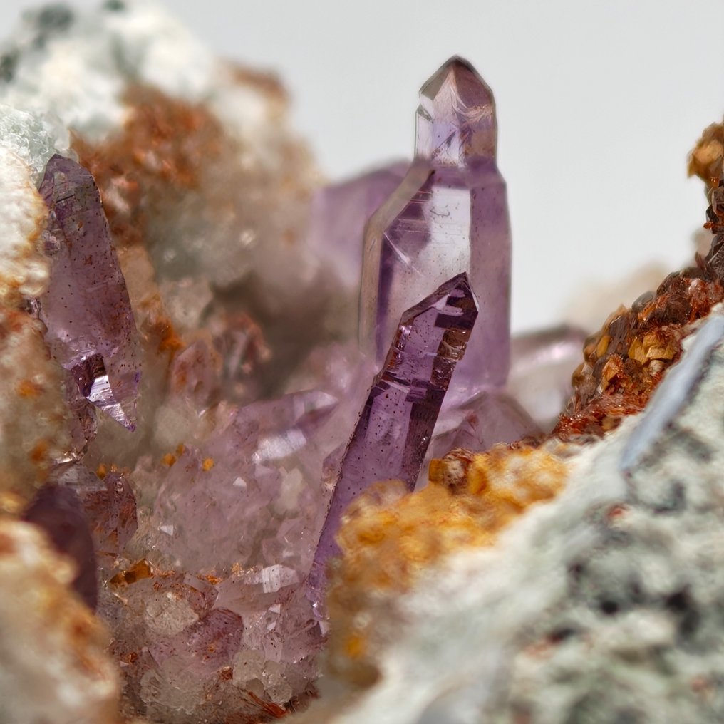 Amethyst Sardinia, reverse spectrum crystals and intense violet Crystals on matrix - Height: 52 mm - Width: 42 mm- 60 g #1.0