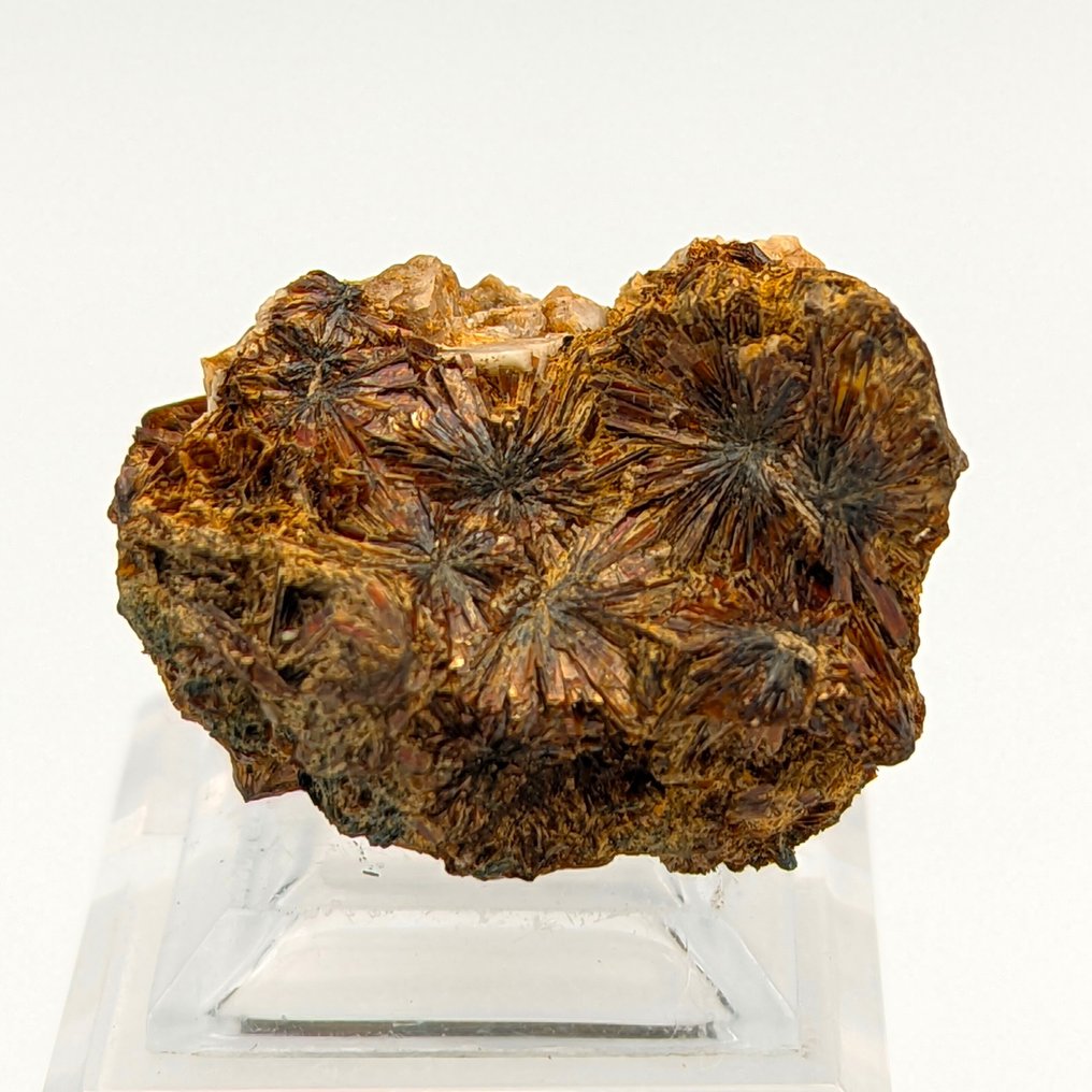 Ritka NIOBOPHYLLIT, aranyszínű és ragyogó, Malawi. Kristálymátrix - Magasság: 39 mm - Szélesség: 29 mm- 26 g #1.0