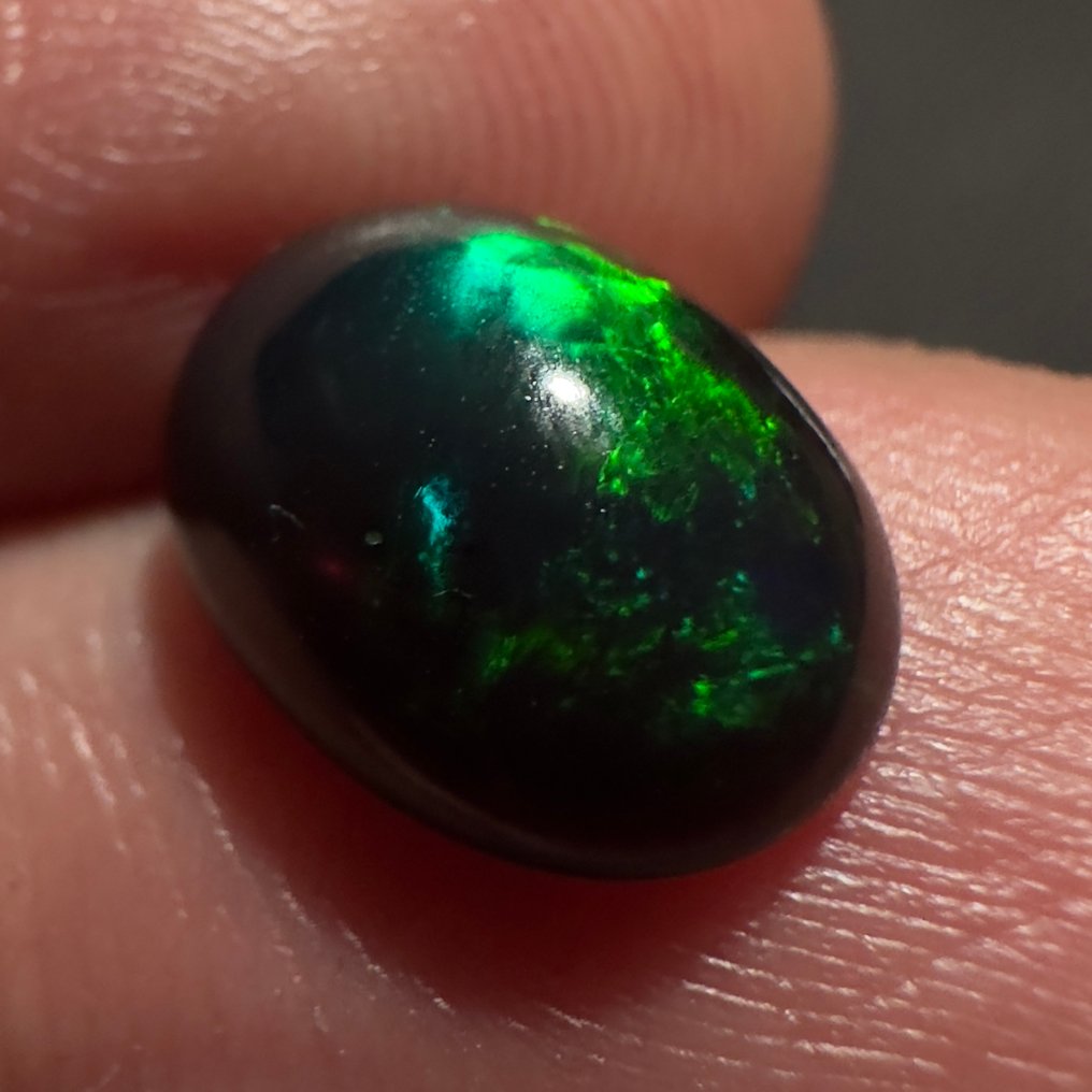 没有保留价 蛋白石  - 1.54 ct - 无实验室报告 #1.0