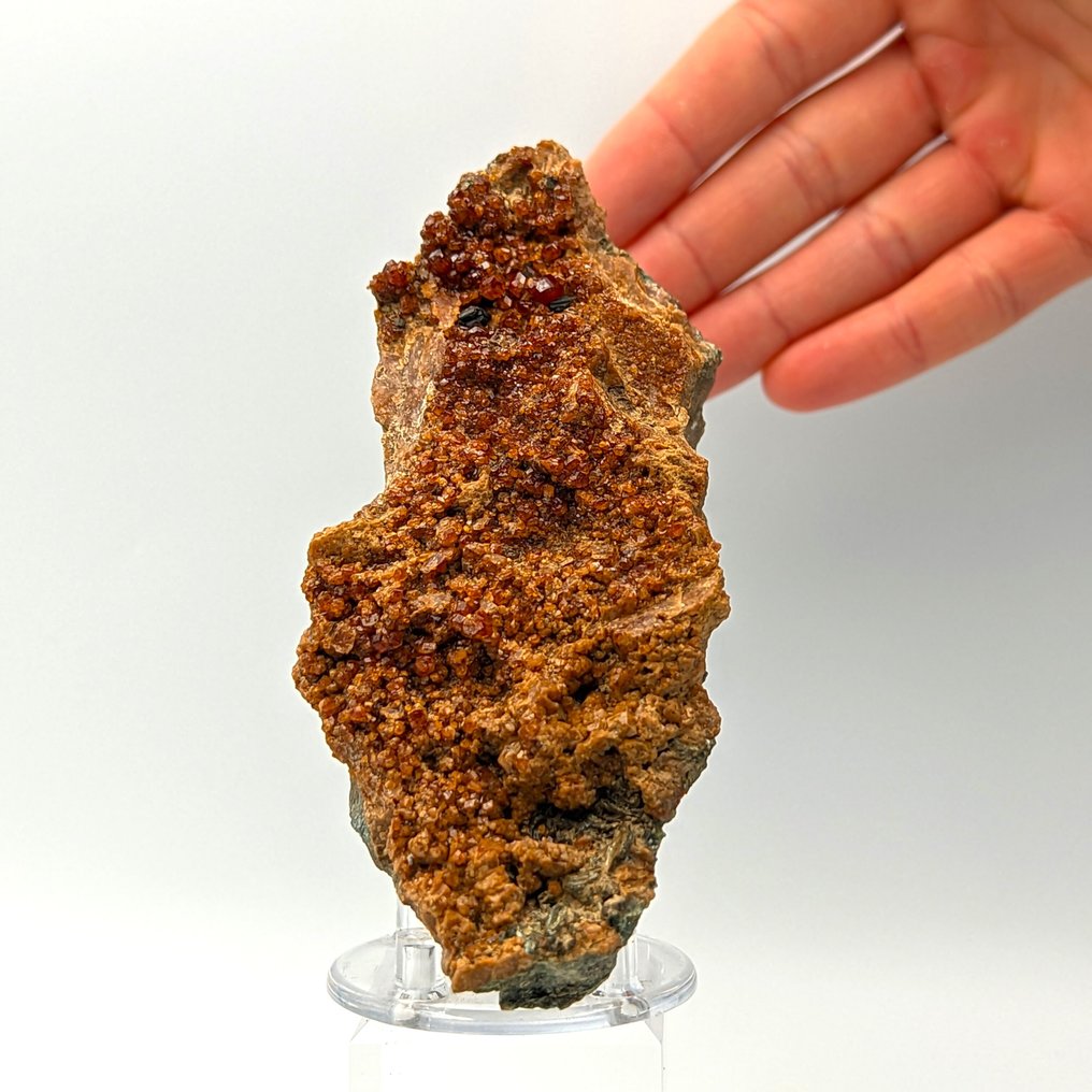 Red Hessonite, rare crystallization, Italy. Crystals on matrix - Height: 125 mm - Width: 60 mm- 410 g #2.1