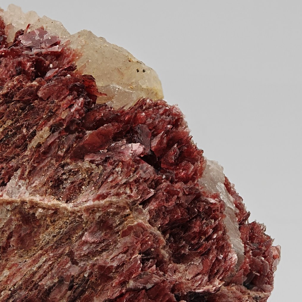 Rare ALURGITE, RED MICA shining on QUARTZ Crystals on matrix - Height: 75 mm - Width: 53 mm- 106 g #4.3