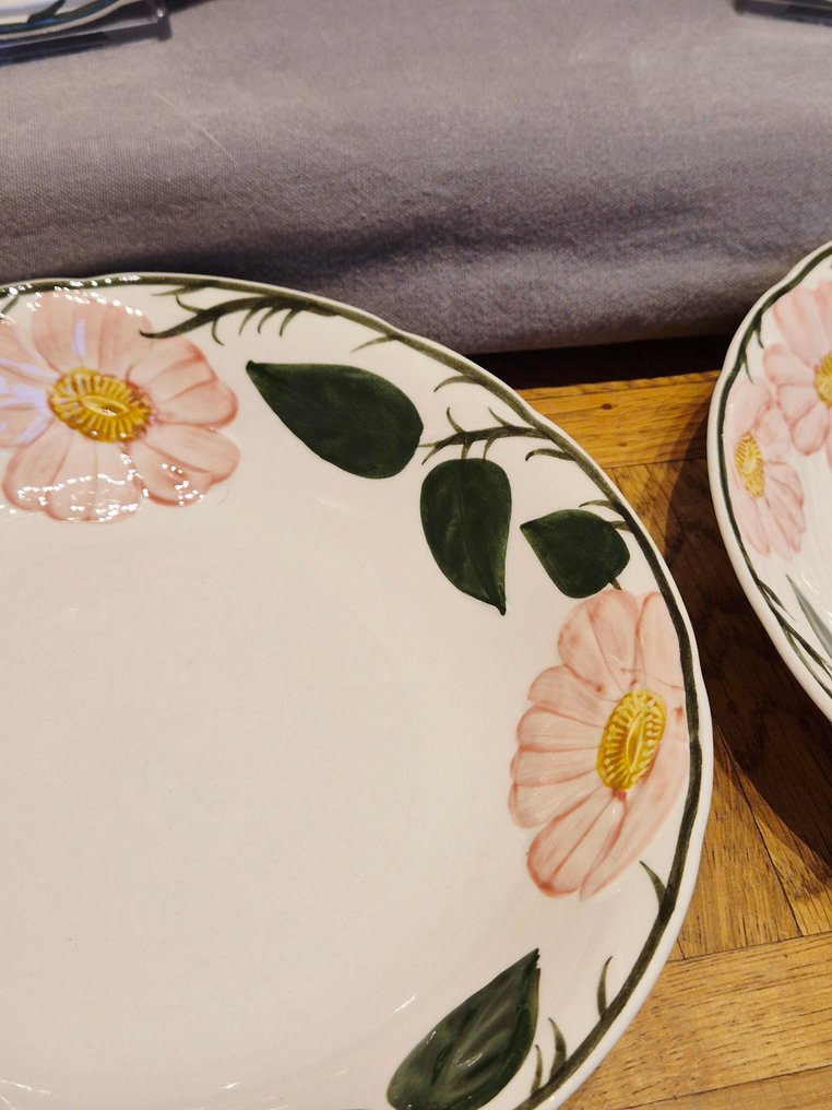 Villeroy & Boch - 餐盤 (6) - Wild-Rose, Wildrose - 瓷器 - 汤盘，首选！ #2.1