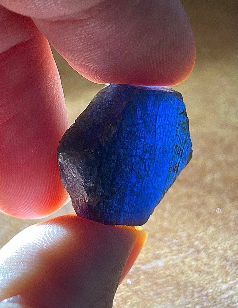 Ζαφείρι Απρόσμενο κορυφαίο βασιλικό μπλε. «Πλήρη κρύσταλλα και υψηλής ποιότητας ειδικό τεράστιο κομμάτι» - Ύψος: 22 mm - Πλάτος: 17 mm- 8.5 g #2.1