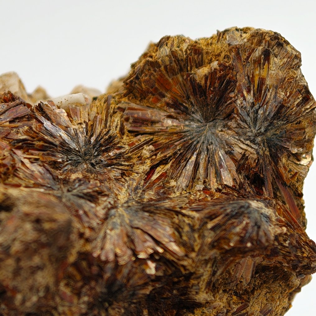 Ritka NIOBOPHYLLIT, aranyszínű és ragyogó, Malawi. Kristálymátrix - Magasság: 39 mm - Szélesség: 29 mm- 26 g #1.0