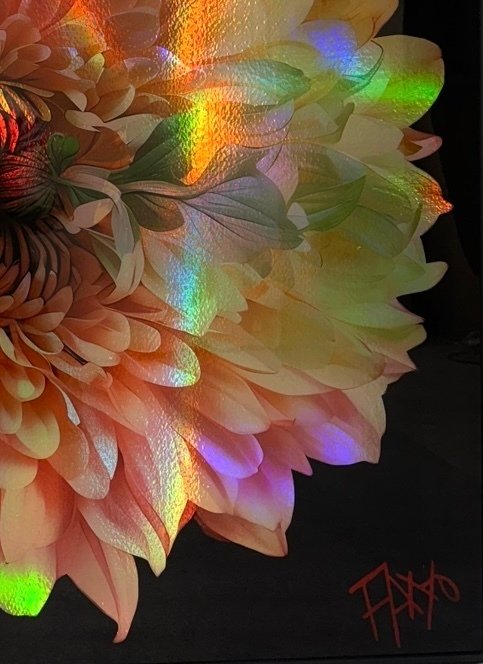 FANO (XX) - Fleurs Chromatiques #4.3