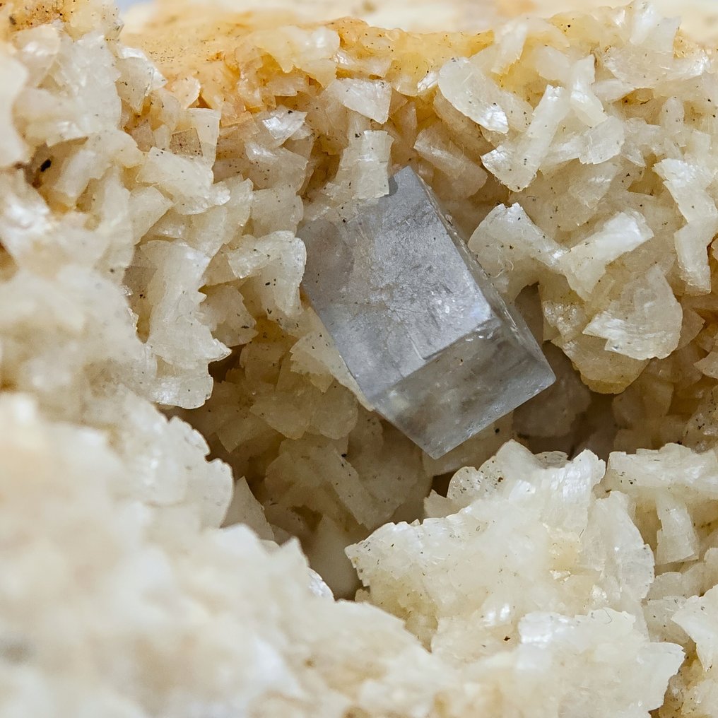 FLUORITE AZZURA in GEODE di DOLOMITE, Sardegna Geode - Altezza: 66 mm - Larghezza: 62 mm- 238 g #1.0