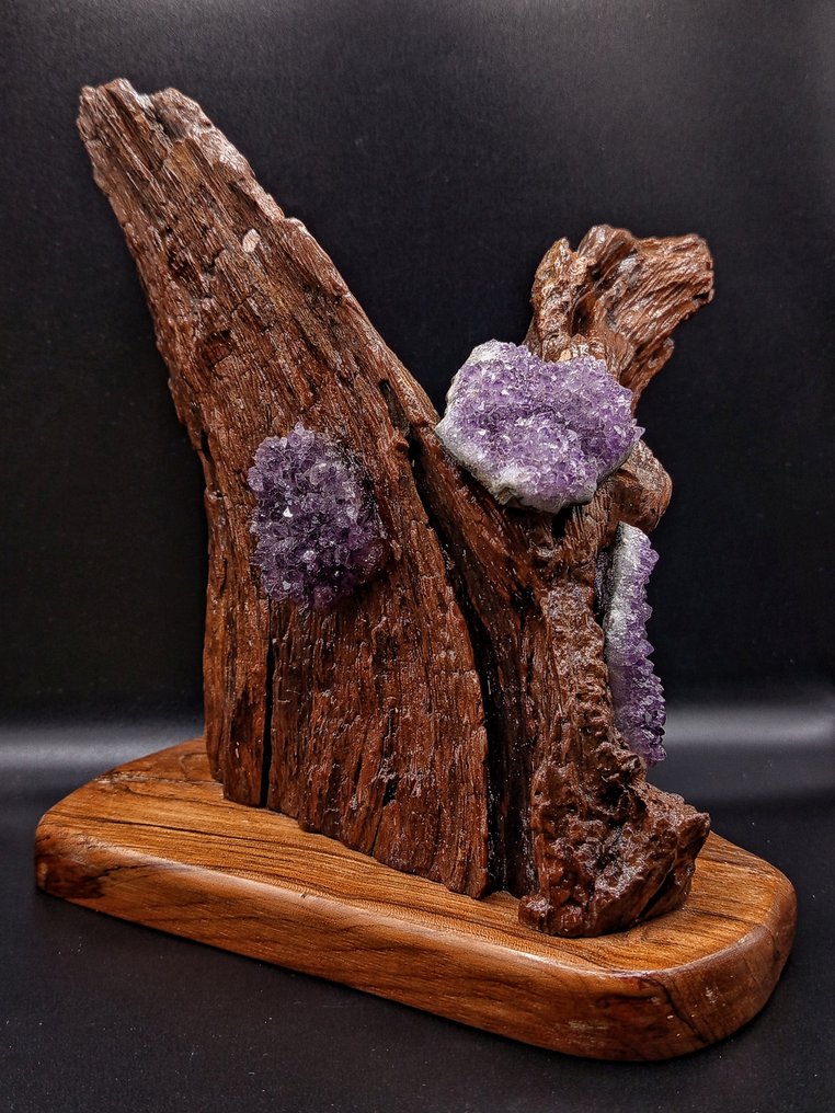 PEZZO UNICO "ALI DI CRISTALLO" - 手工雕刻胡桃木雕塑,配巴西紫水晶,高度 - 高度: 240 mm - 闊度: 130 mm- 1038 g - (1) #2.1