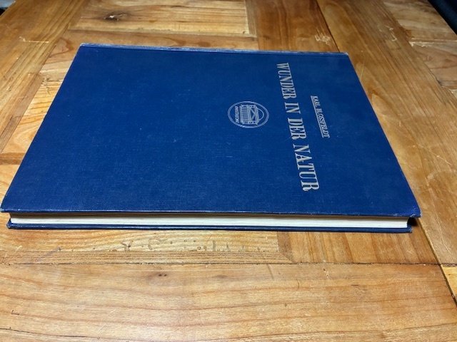 Professor Dr. Karl Blossfeldt - Wunder in der Natur (THIRD BOOK, SUPER FRESH) - 1942 #3.2