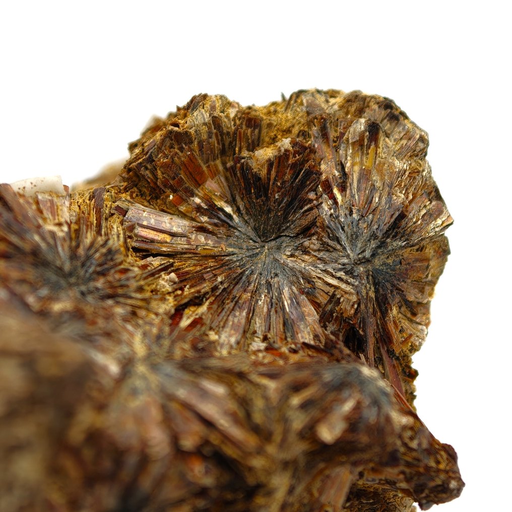 Ritka NIOBOPHYLLIT, aranyszínű és ragyogó, Malawi. Kristálymátrix - Magasság: 39 mm - Szélesség: 29 mm- 26 g #3.2