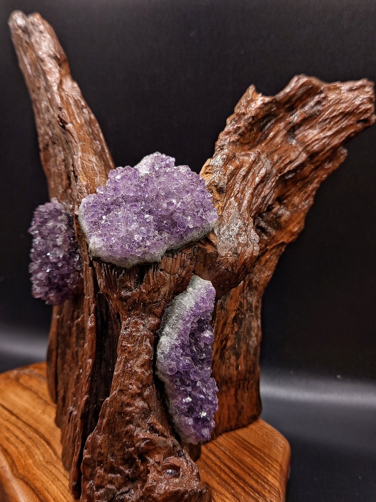 PEZZO UNICO "ALI DI CRISTALLO" - 手工雕刻胡桃木雕塑,配巴西紫水晶,高度 - 高度: 240 mm - 闊度: 130 mm- 1038 g - (1) #1.0
