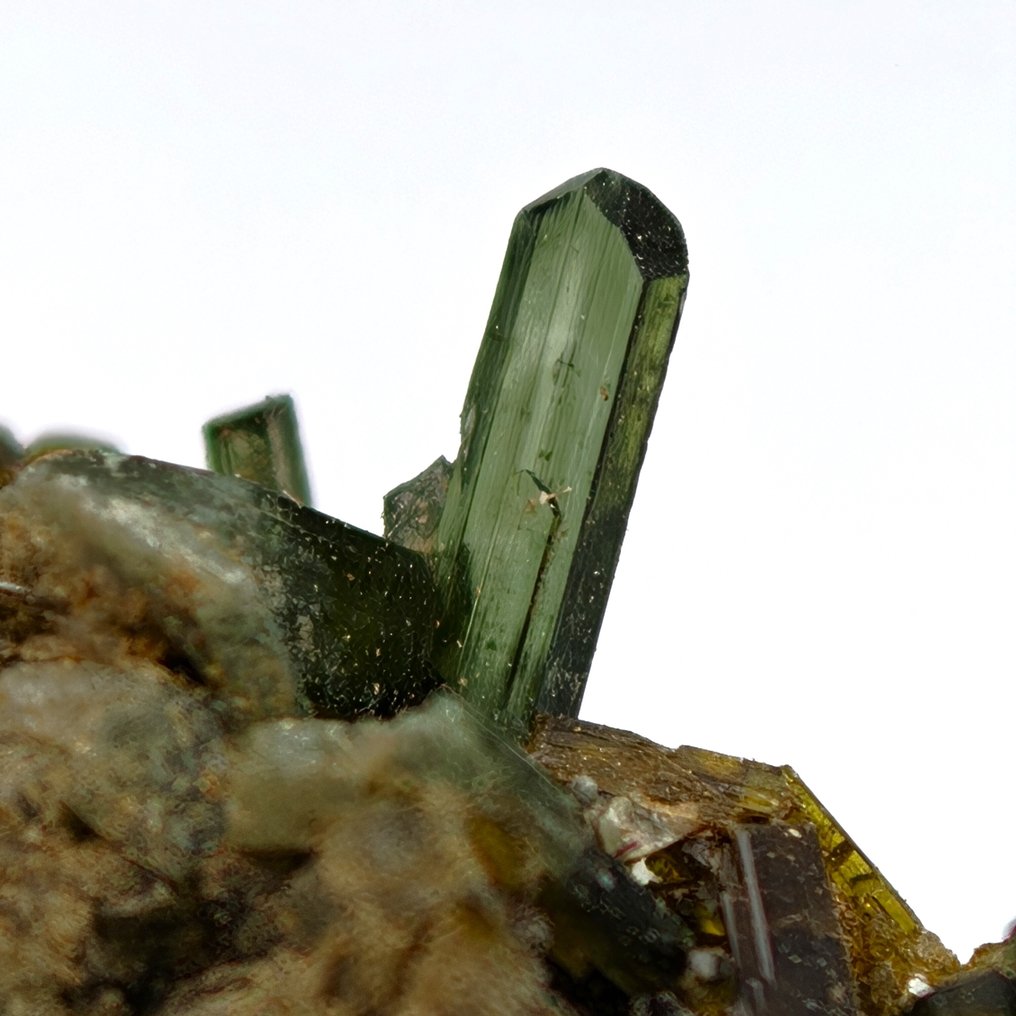 Fantastic EPIDOTE with PREHNITE, ALPINE, Italy Crystals on matrix - Height: 44 mm - Width: 28 mm- 17 g #1.0