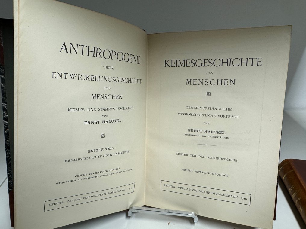 Ernst Haeckel - Anthropogenie oder Entwickelungsgeschichte des Menschen - 1910 #4.3