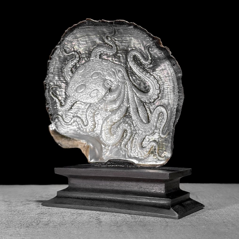 精美雕刻的珍珠母贝壳 -章鱼图案 貝殼 - Pinctada Maxima  (沒有保留價) #4.3